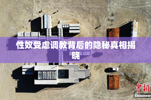 性奴受虐调教背后的隐秘真相揭晓