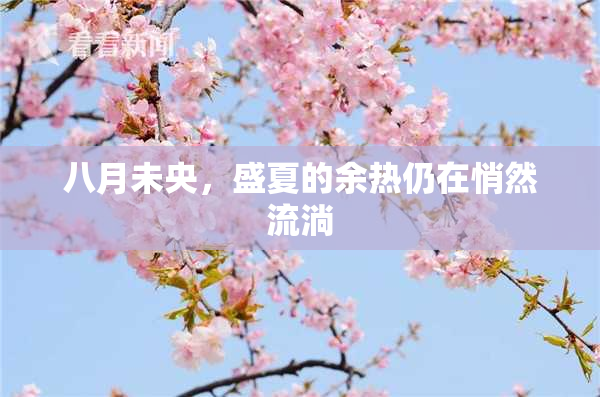 八月未央，盛夏的余热仍在悄然流淌