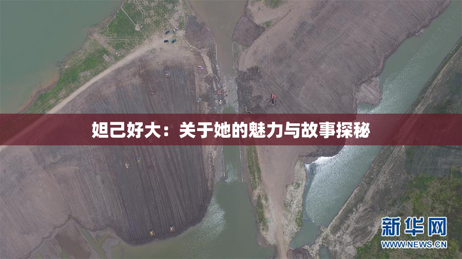 妲己好大：关于她的魅力与故事探秘