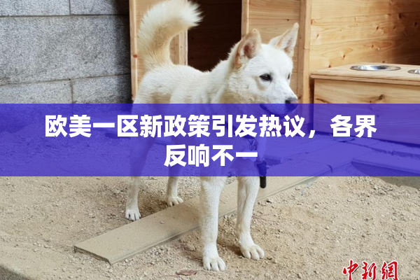 欧美一区新政策引发热议，各界反响不一