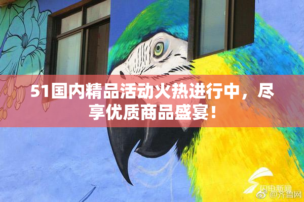 51国内精品活动火热进行中，尽享优质商品盛宴！