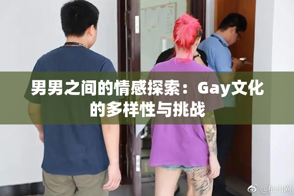 男男之间的情感探索：Gay文化的多样性与挑战
