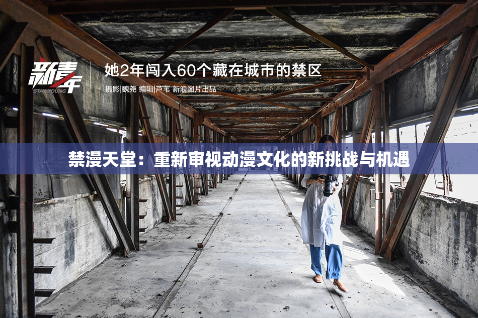 禁漫天堂：重新审视动漫文化的新挑战与机遇
