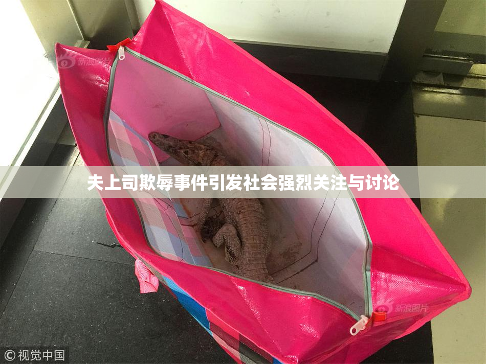 夫上司欺辱事件引发社会强烈关注与讨论
