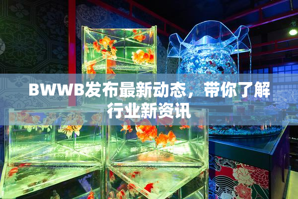 BWWB发布最新动态，带你了解行业新资讯