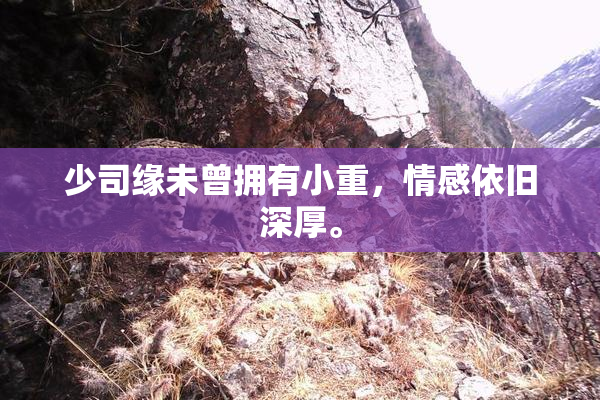 少司缘未曾拥有小重，情感依旧深厚。