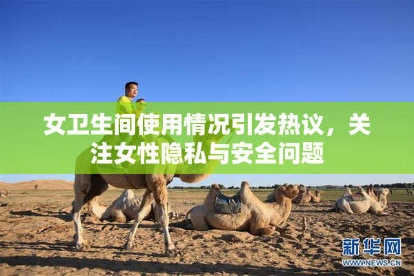 女卫生间使用情况引发热议，关注女性隐私与安全问题