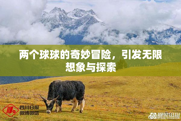 两个球球的奇妙冒险，引发无限想象与探索