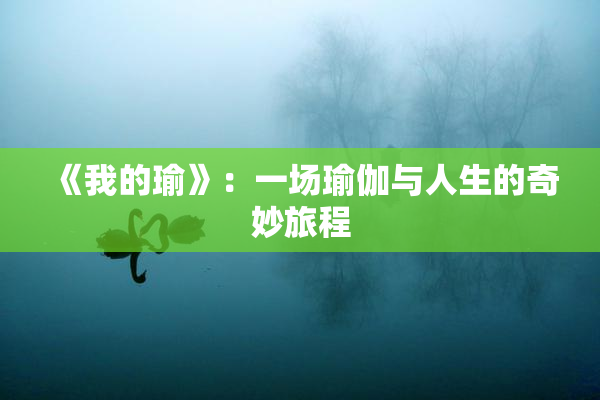 《我的瑜》：一场瑜伽与人生的奇妙旅程