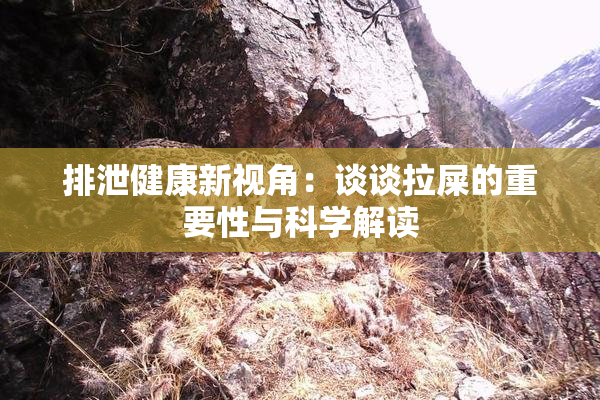 排泄健康新视角：谈谈拉屎的重要性与科学解读