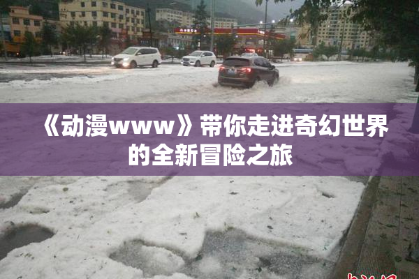 《动漫www》带你走进奇幻世界的全新冒险之旅