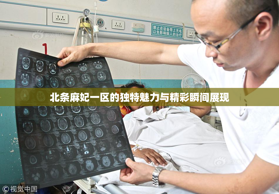北条麻妃一区的独特魅力与精彩瞬间展现