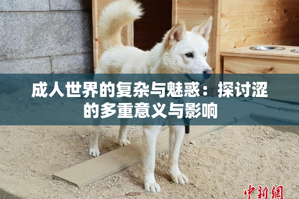 成人世界的复杂与魅惑：探讨涩的多重意义与影响