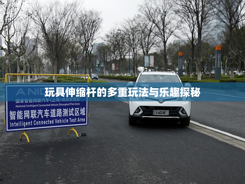 玩具伸缩杆的多重玩法与乐趣探秘