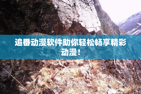 追番动漫软件助你轻松畅享精彩动漫！