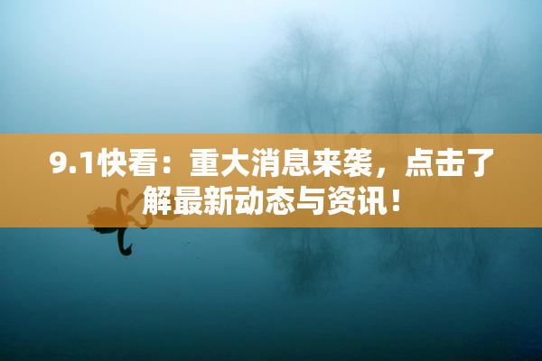 9.1快看：重大消息来袭，点击了解最新动态与资讯！