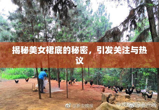 揭秘美女裙底的秘密，引发关注与热议