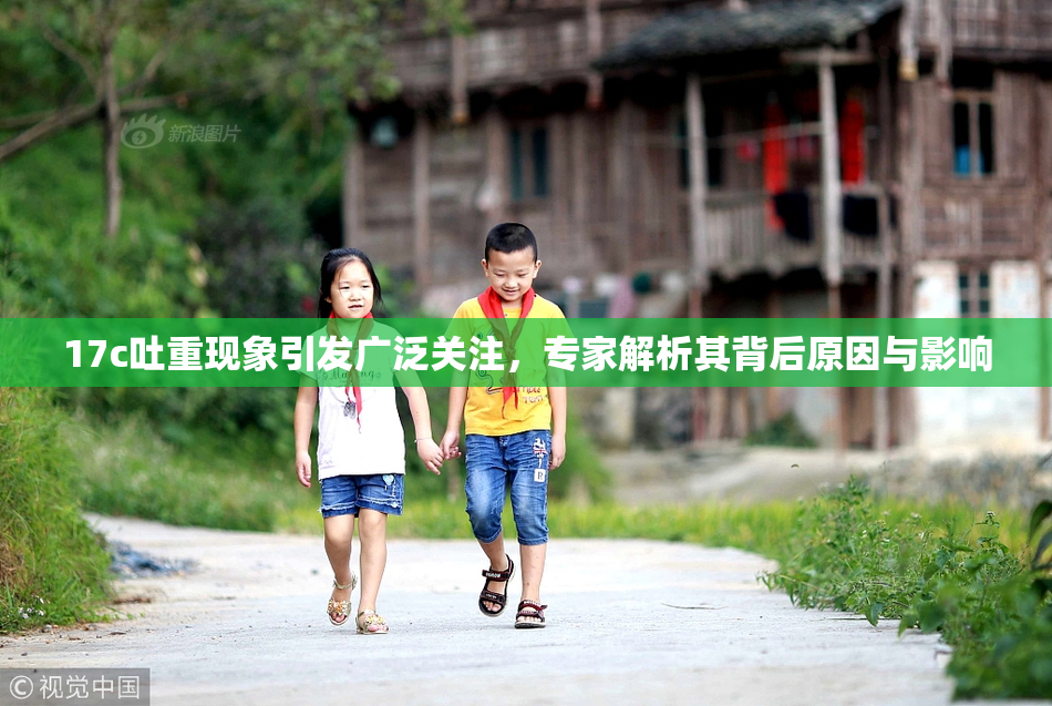 17c吐重现象引发广泛关注，专家解析其背后原因与影响