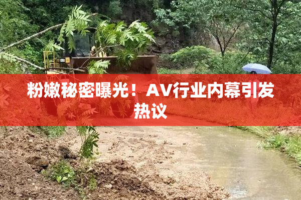 粉嫩秘密曝光！AV行业内幕引发热议