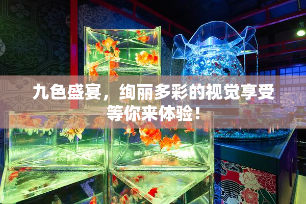 九色盛宴，绚丽多彩的视觉享受等你来体验！