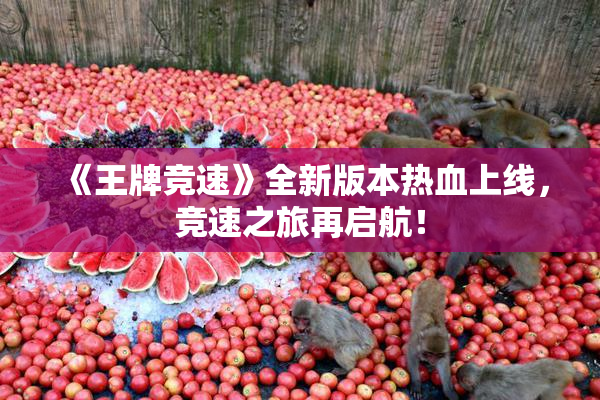 《王牌竞速》全新版本热血上线，竞速之旅再启航！