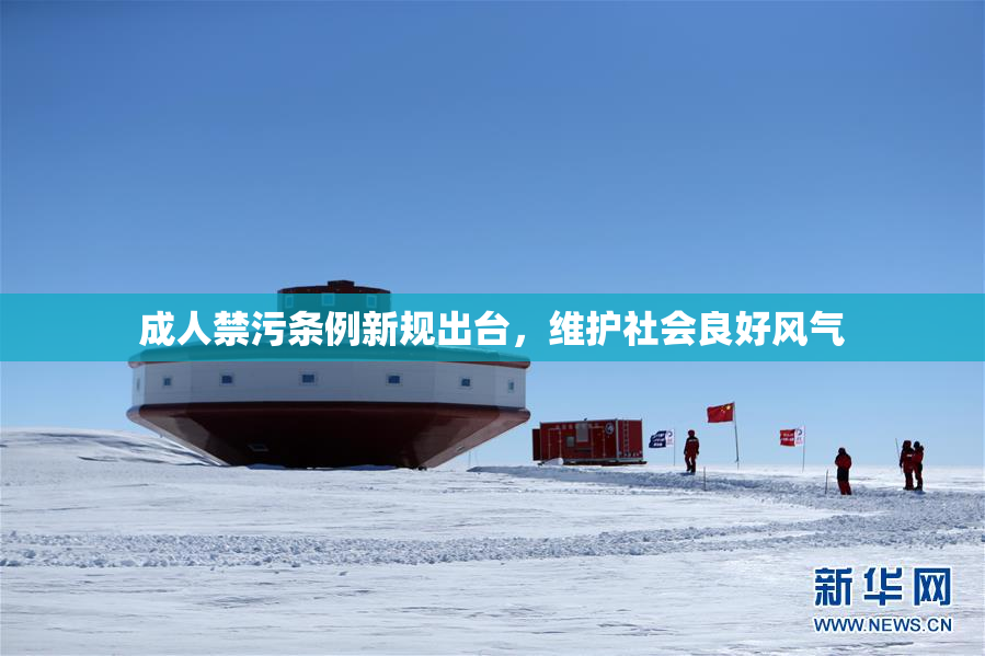 成人禁污条例新规出台，维护社会良好风气