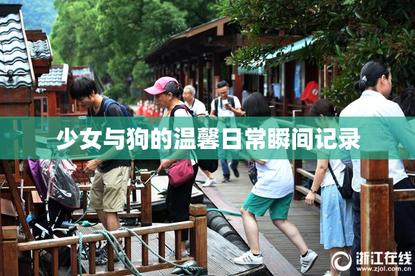 少女与狗的温馨日常瞬间记录