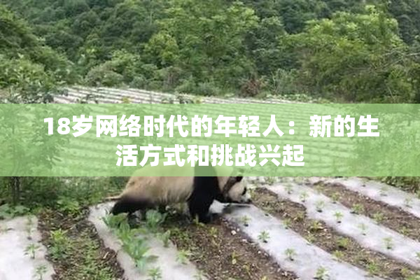 18岁网络时代的年轻人：新的生活方式和挑战兴起