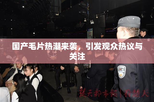 国产毛片热潮来袭，引发观众热议与关注