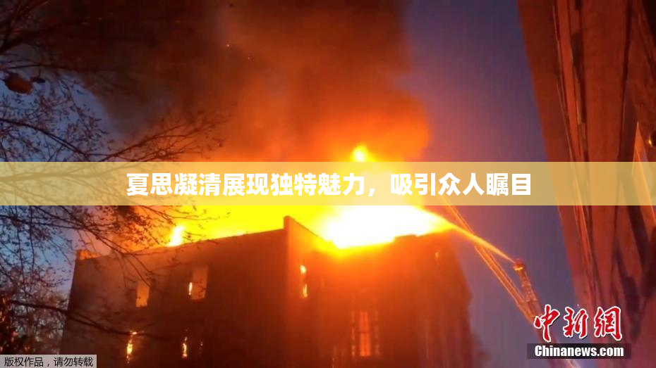 夏思凝清展现独特魅力，吸引众人瞩目