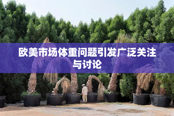 欧美市场体重问题引发广泛关注与讨论