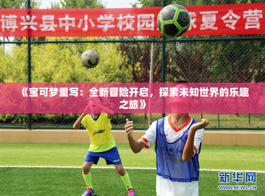 《宝可梦重写：全新冒险开启，探索未知世界的乐趣之旅》