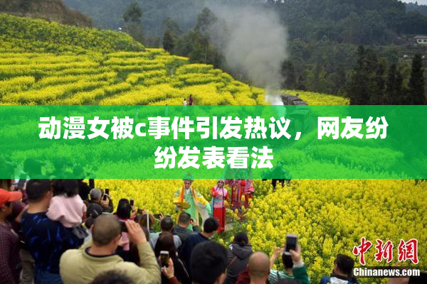 动漫女被c事件引发热议，网友纷纷发表看法