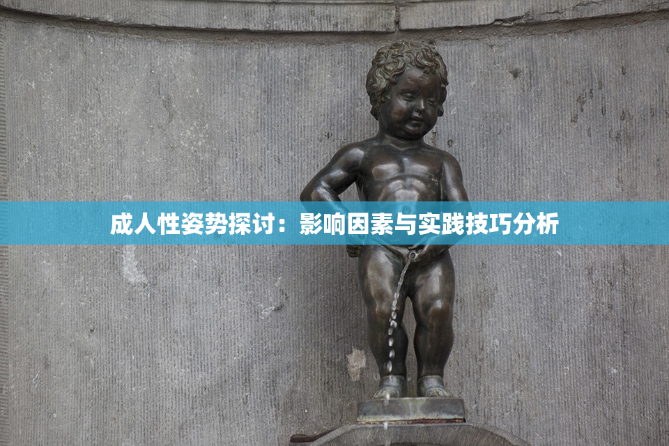 成人性姿势探讨：影响因素与实践技巧分析