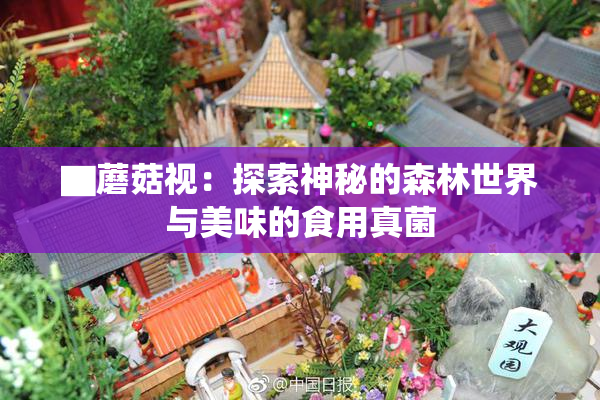 ▇蘑菇视：探索神秘的森林世界与美味的食用真菌