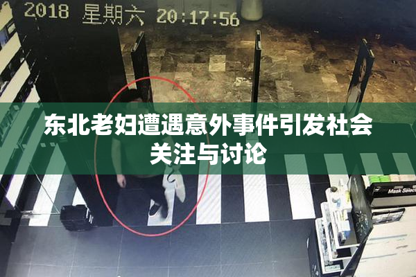 东北老妇遭遇意外事件引发社会关注与讨论