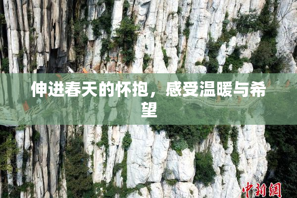 伸进春天的怀抱，感受温暖与希望