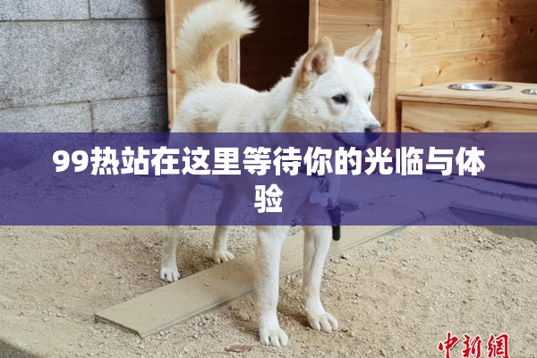 99热站在这里等待你的光临与体验