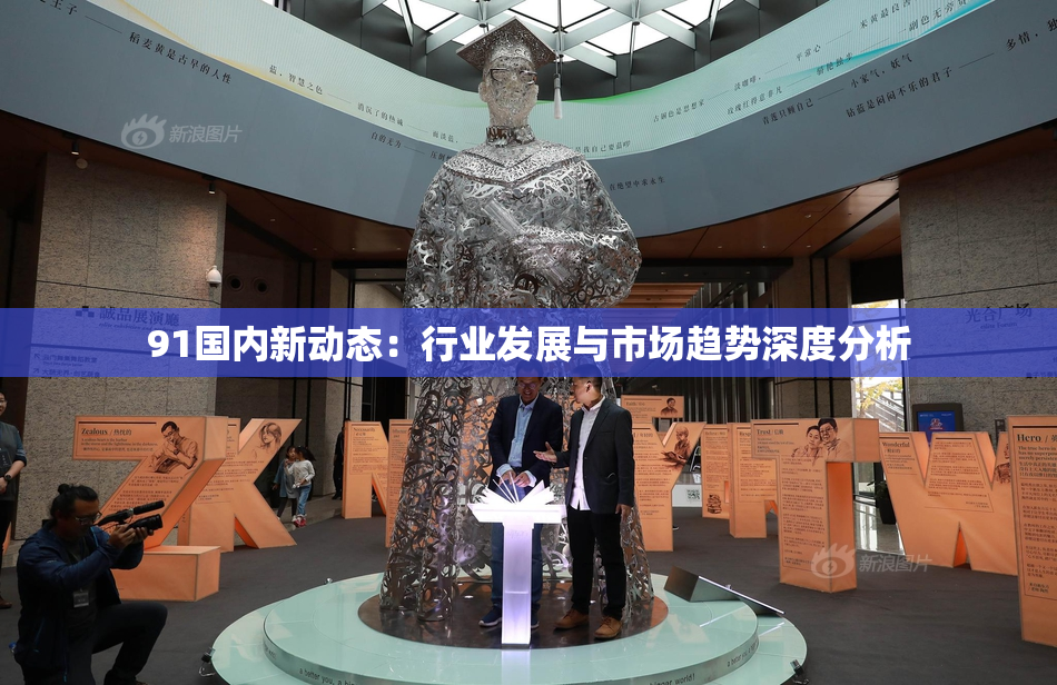 91国内新动态：行业发展与市场趋势深度分析