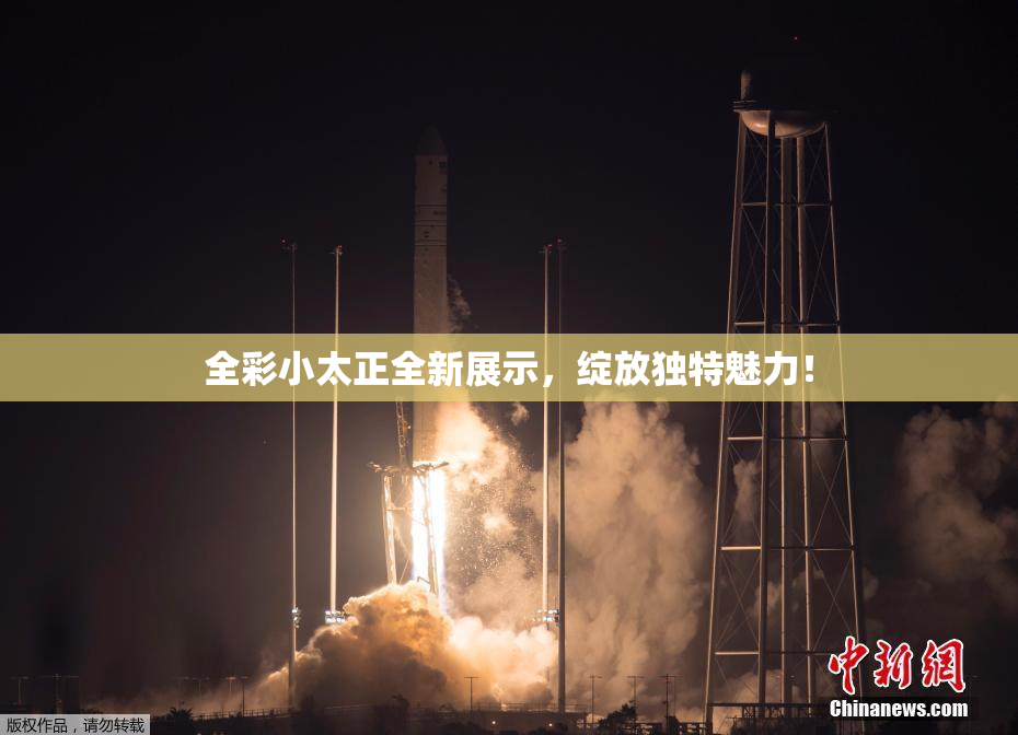 全彩小太正全新展示，绽放独特魅力！