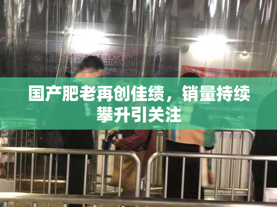 国产肥老再创佳绩，销量持续攀升引关注