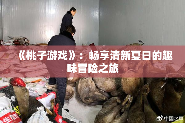 《桃子游戏》：畅享清新夏日的趣味冒险之旅