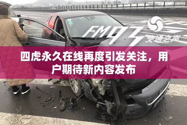 四虎永久在线再度引发关注，用户期待新内容发布