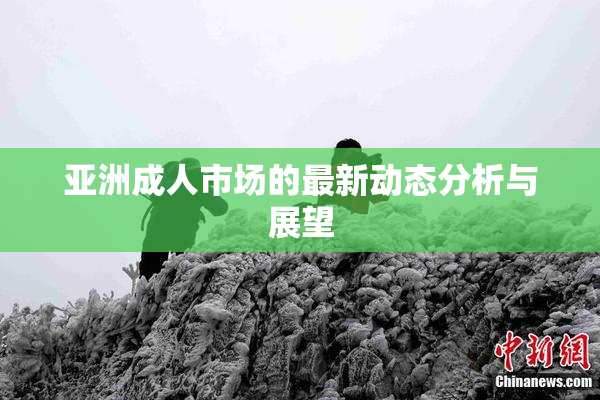 亚洲成人市场的最新动态分析与展望