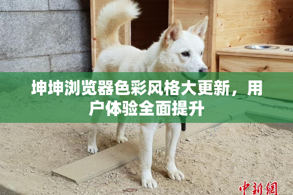 坤坤浏览器色彩风格大更新，用户体验全面提升