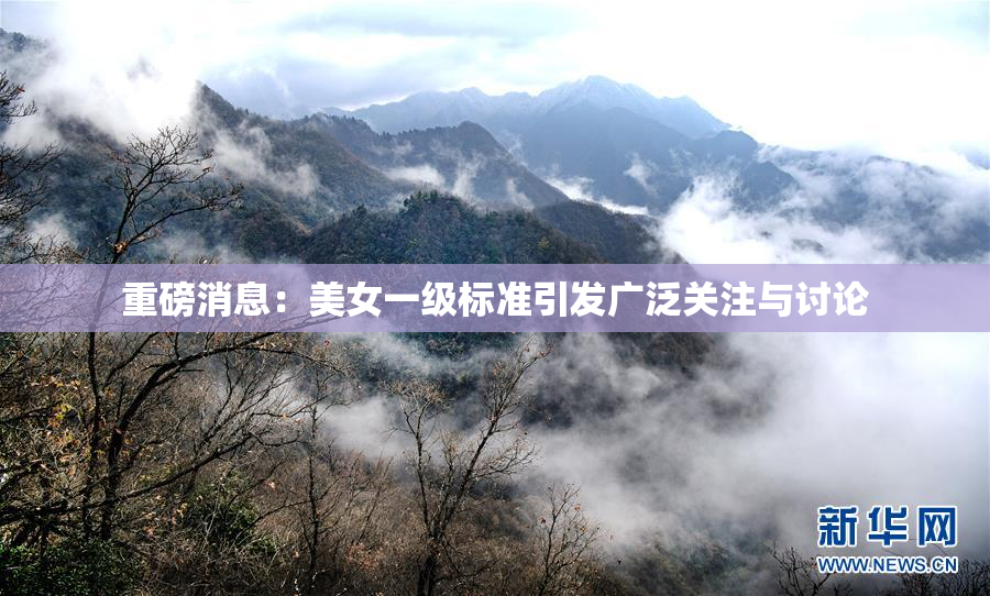 重磅消息：美女一级标准引发广泛关注与讨论
