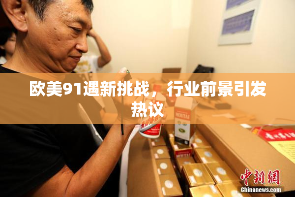 欧美91遇新挑战，行业前景引发热议