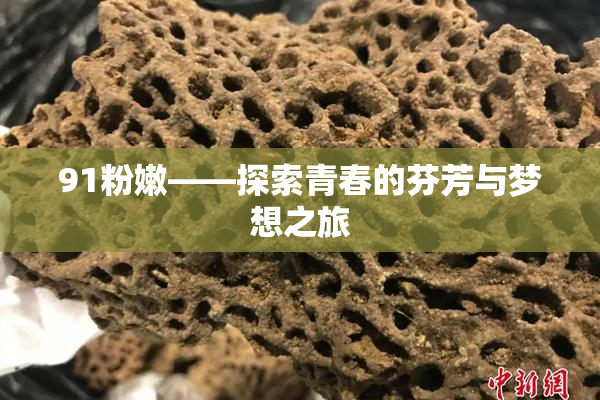 91粉嫩——探索青春的芬芳与梦想之旅