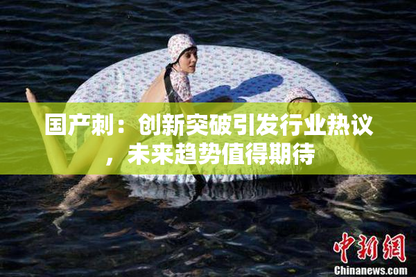 国产刺：创新突破引发行业热议，未来趋势值得期待