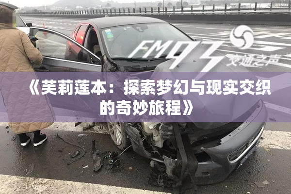 《芙莉莲本：探索梦幻与现实交织的奇妙旅程》